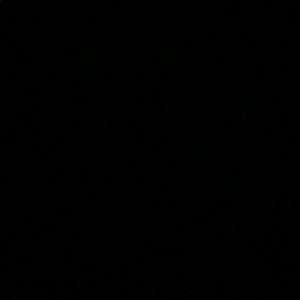 Meet your Posher, Cassie